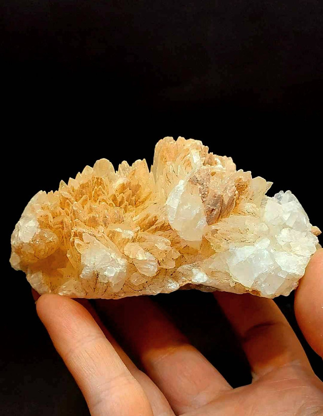 سنگ کلسیت دندان برگی،کلسیت راف اصل