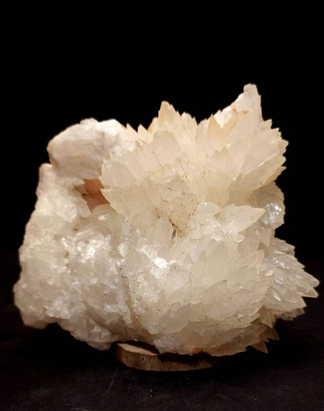 سنگ کلکسیونی کلسیت برگی