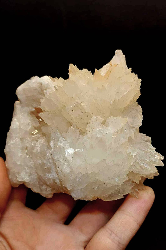 سنگ کلکسیونی کلسیت برگی
