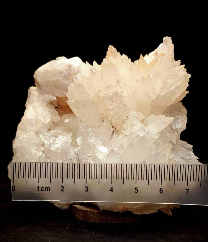 سنگ کلکسیونی کلسیت برگی