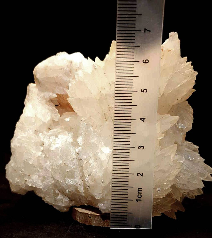 سنگ کلکسیونی کلسیت برگی