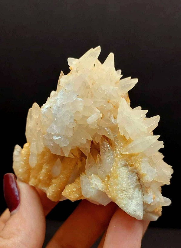 سنگ کلکسیونی کلسیت دندان سگی (میخی)