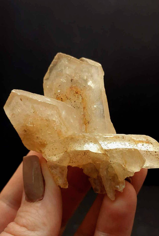 سنگ کلکسیونی رز صحرا اصل و طبیعیDesert Rose