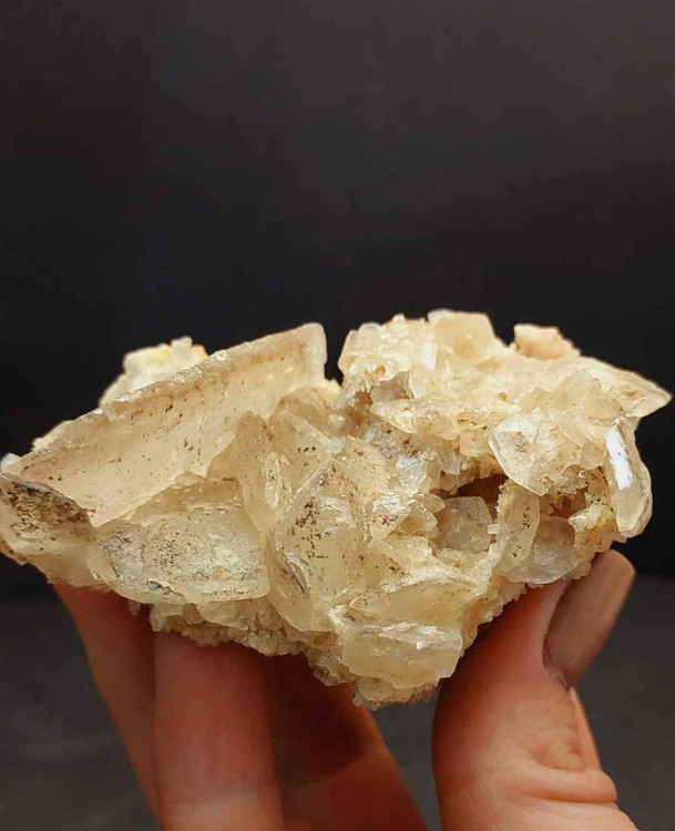 Desert Roseسنگ کلکسیونی رز صحرا اصل و طبیعی