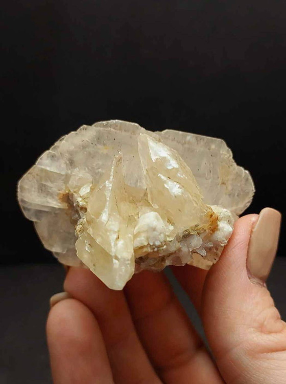 سنگ کلکسیونی رز صحرا اصل و طبیعیDesert Rose