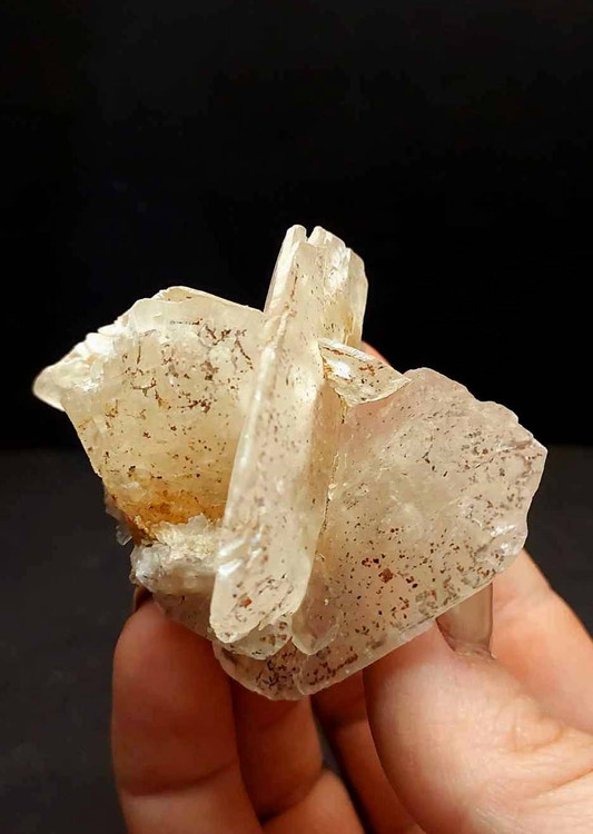 سنگ کلکسیونی رز صحرا اصل و طبیعیDesert Rose