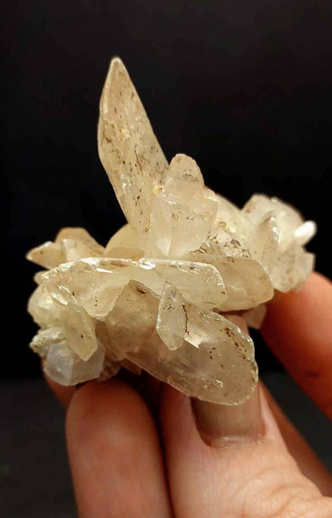 سنگ کلکسیونی رز صحرا اصل و طبیعیDesert Rose