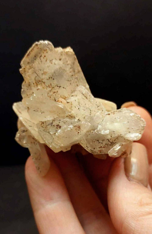 سنگ کلکسیونی رز صحرا اصل و طبیعیDesert Rose