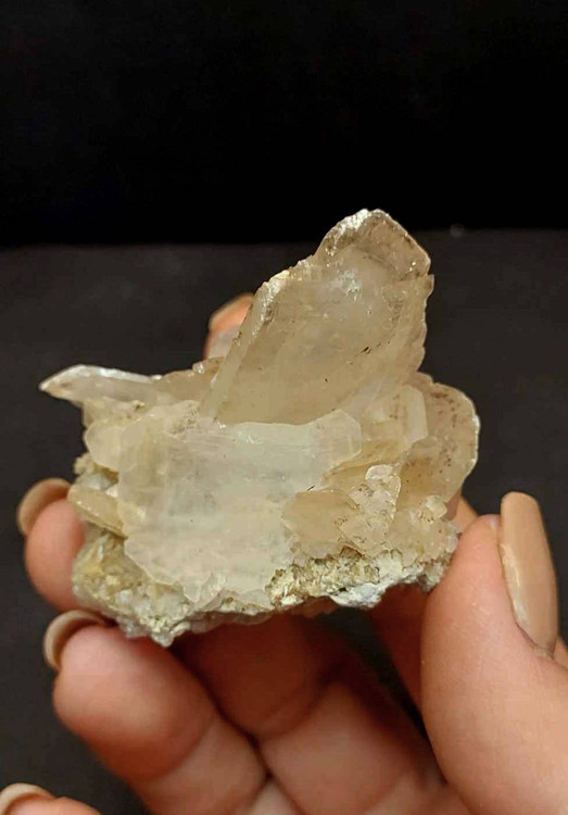 سنگ کلکسیونی رز صحرا اصل و طبیعیDesert Rose